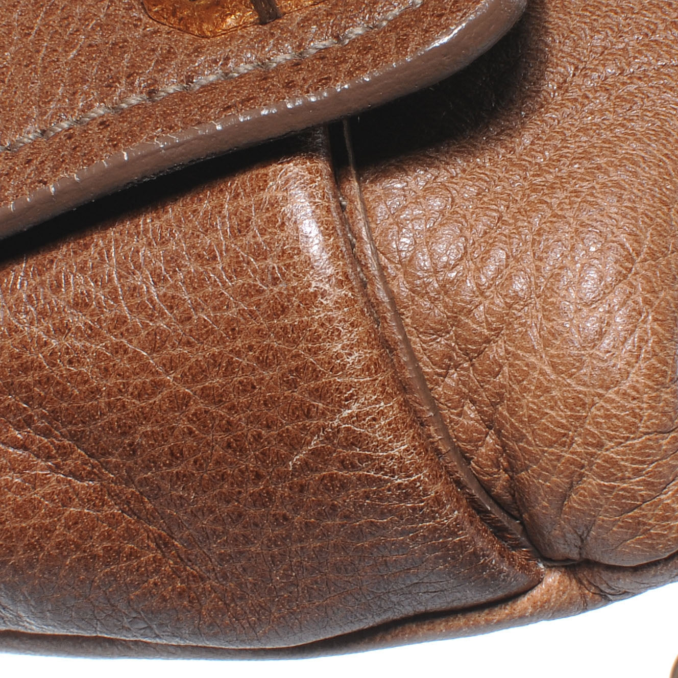 Cervo Pietre Jeweled Shoulder Bag Cammello Sfumata