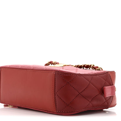 Chanel Goatskin Quilted Small In & Out Camera Case Pink Red 10 of 10
