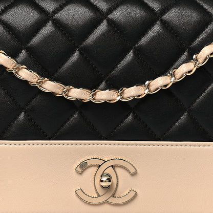 Chanel Sheepskin Quilted Vintage Mademoiselle Flap Beige Black 8 of 11
