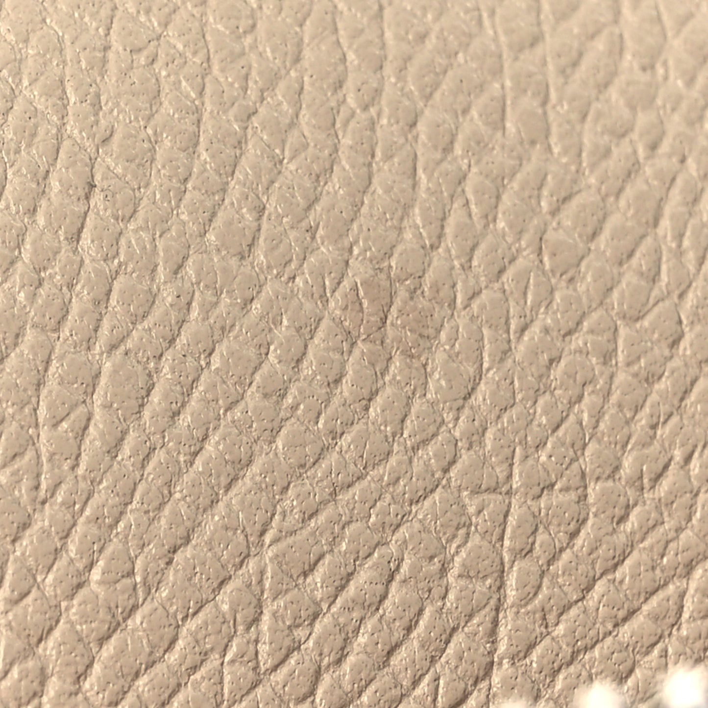 Grained Calfskin Mini Belt Bag Light Taupe