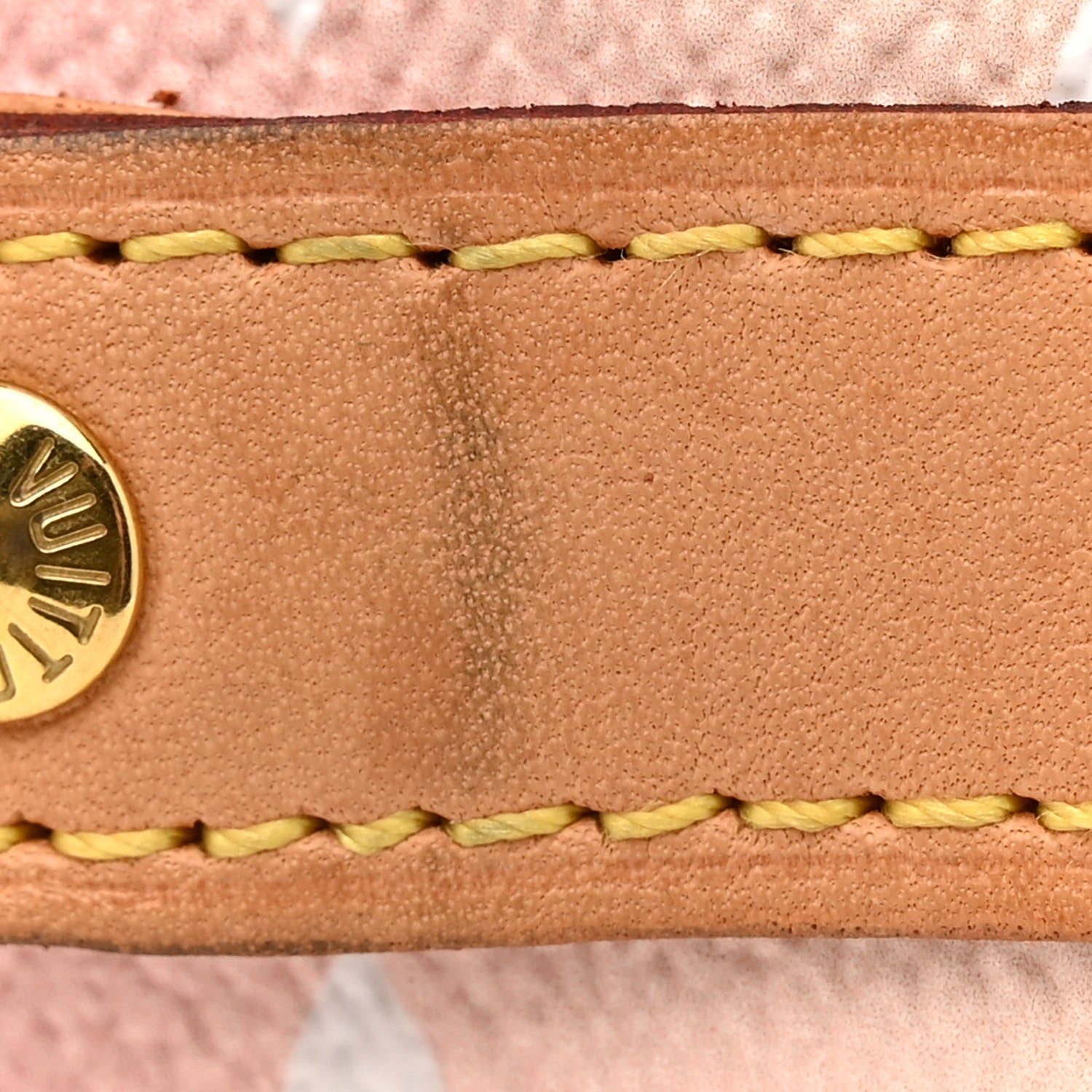 Louis Vuitton Monogram Giant By The Pool Speedy Bandouliere 25 Light Pink 19 of 19