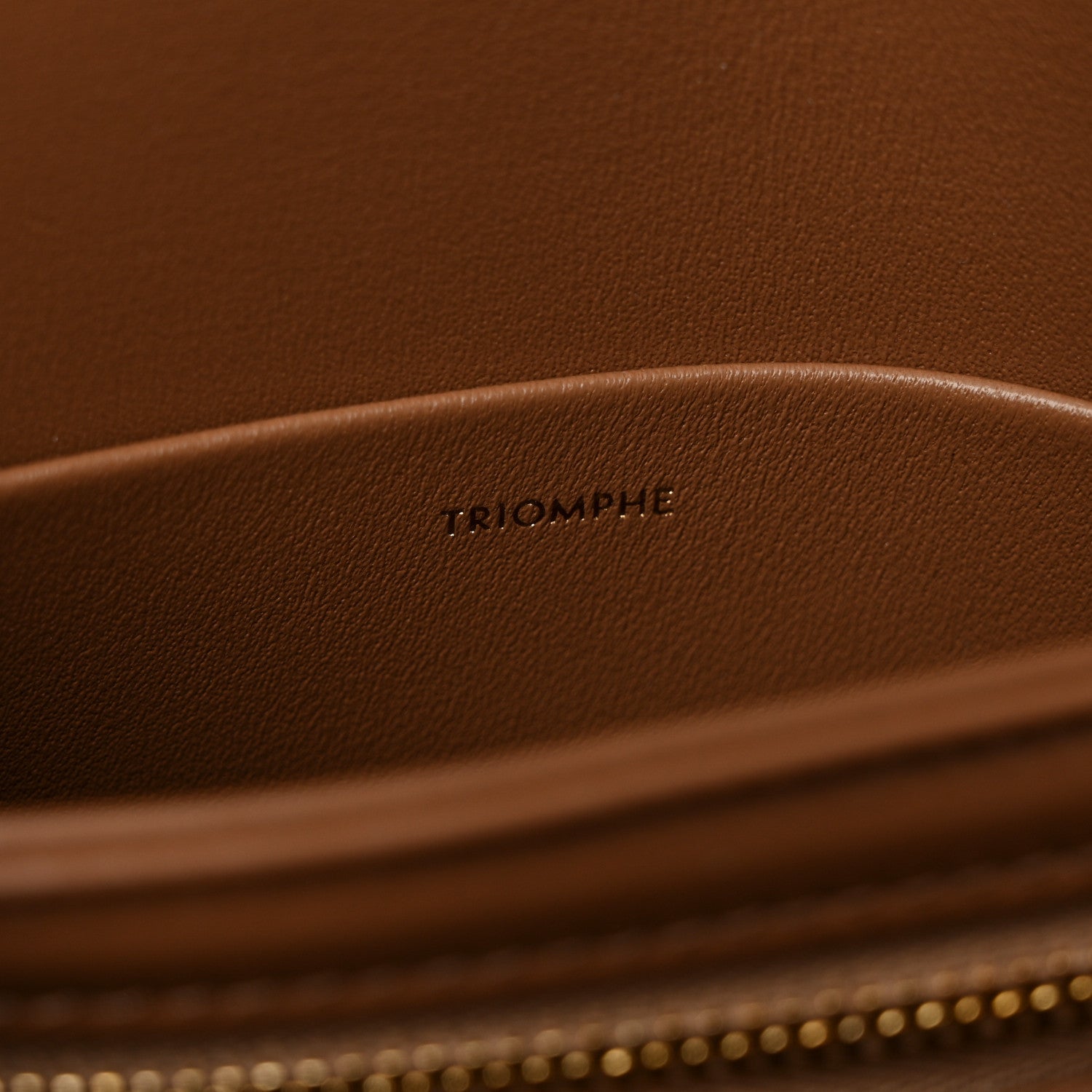 Celine Shiny Calfskin Teen Triomphe Bronze 7 of 15