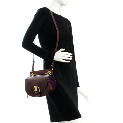 Chloe Suede Calfskin Small Goldie Crossbody Bag Dark Velvet 2 of 9