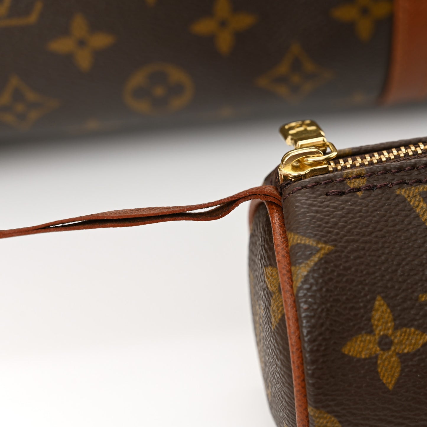 Monogram Papillon 30 with Companion