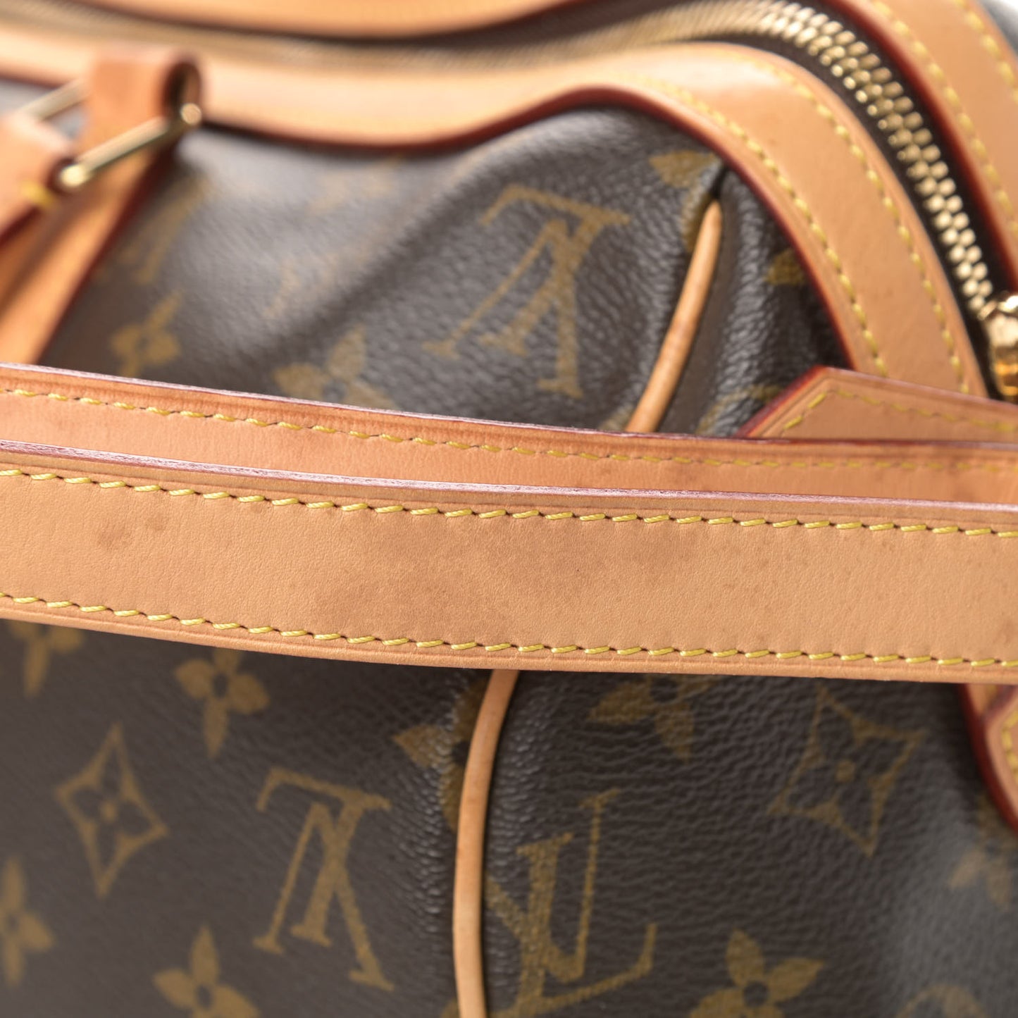Monogram Sofia Coppola Speedy