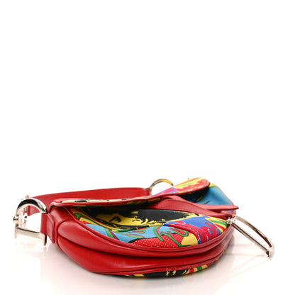 Christian Dior Canvas Bob Marley Saddle Bag Multicolor 4 of 9