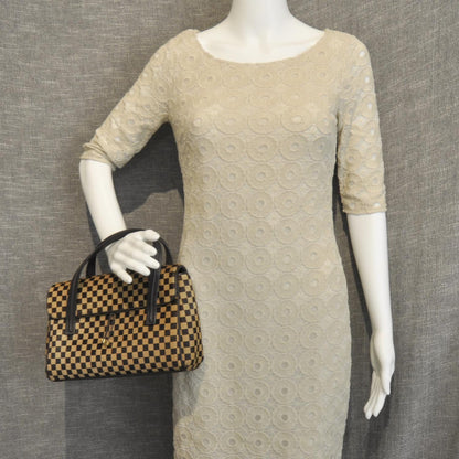 Louis Vuitton Damier Sauvage Lionne 2 of 10