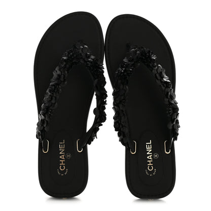 Chanel Lambskin Camellia Thong Sandals 38.5 Black 2 of 10