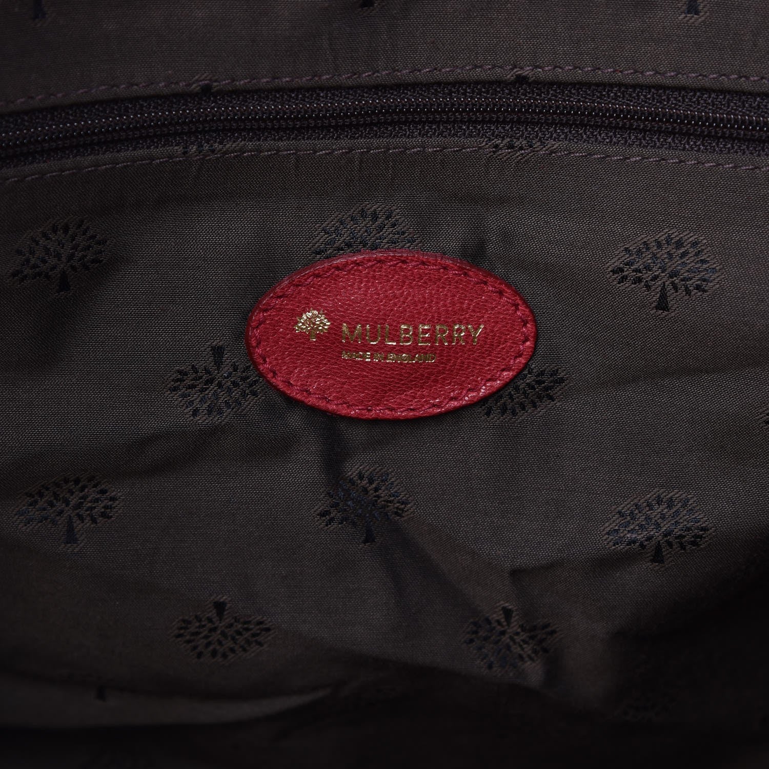 Mulberry Glossy Goatskin Mabel Satchel Red 8 of 8