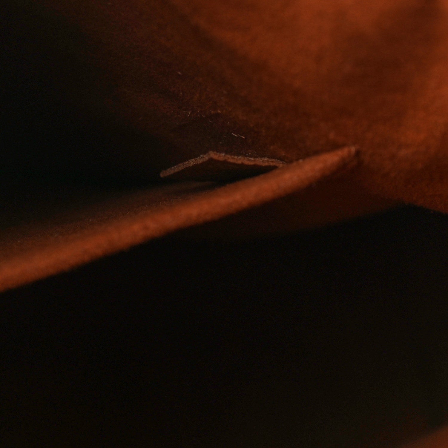 Louis Vuitton Monogram Surene MM Caramel 9 of 16