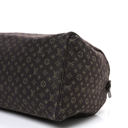 Louis Vuitton Mini Lin Speedy 30 Ebene 9 of 12