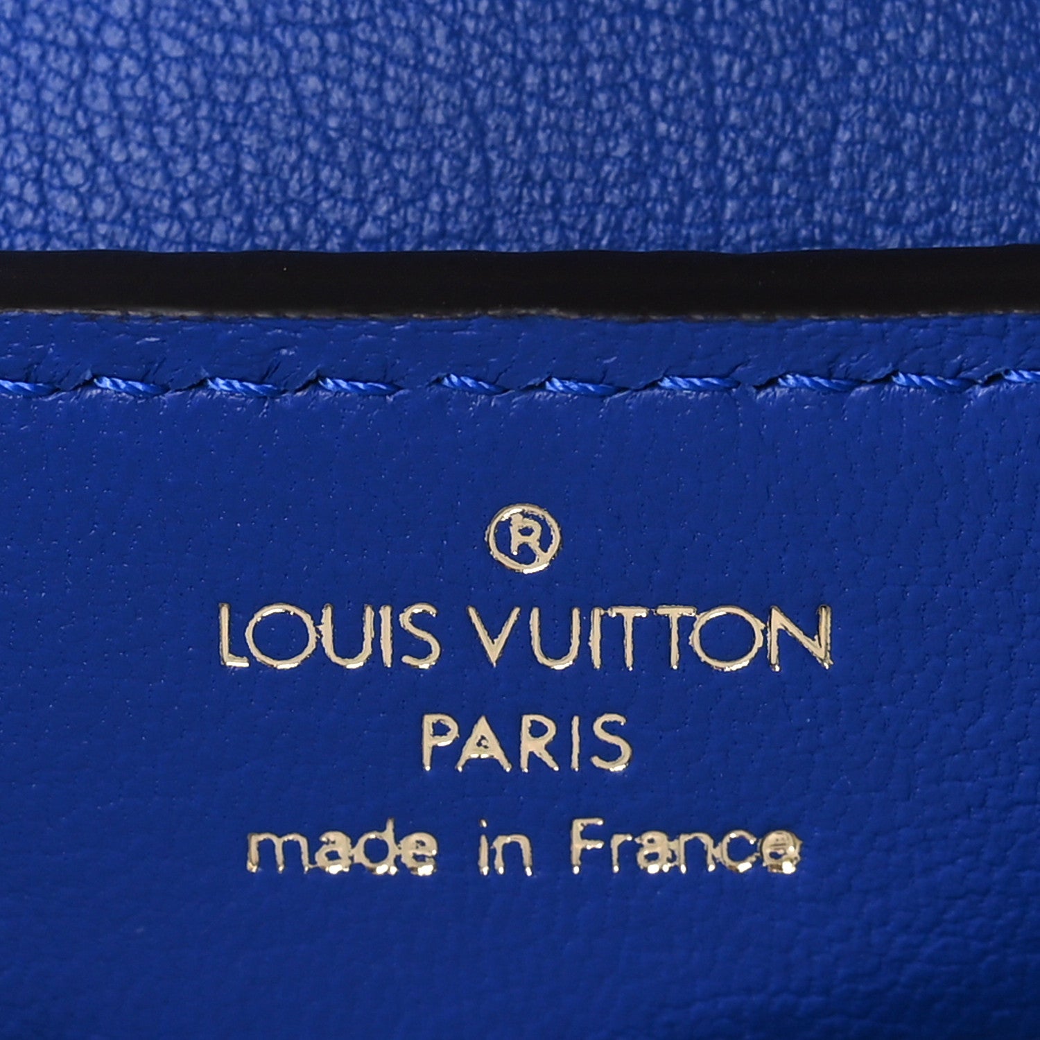 Louis Vuitton Lizard Capucines Mini 6 of 8