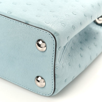 Louis Vuitton Ostrich Capucines BB Light Blue 8 of 8