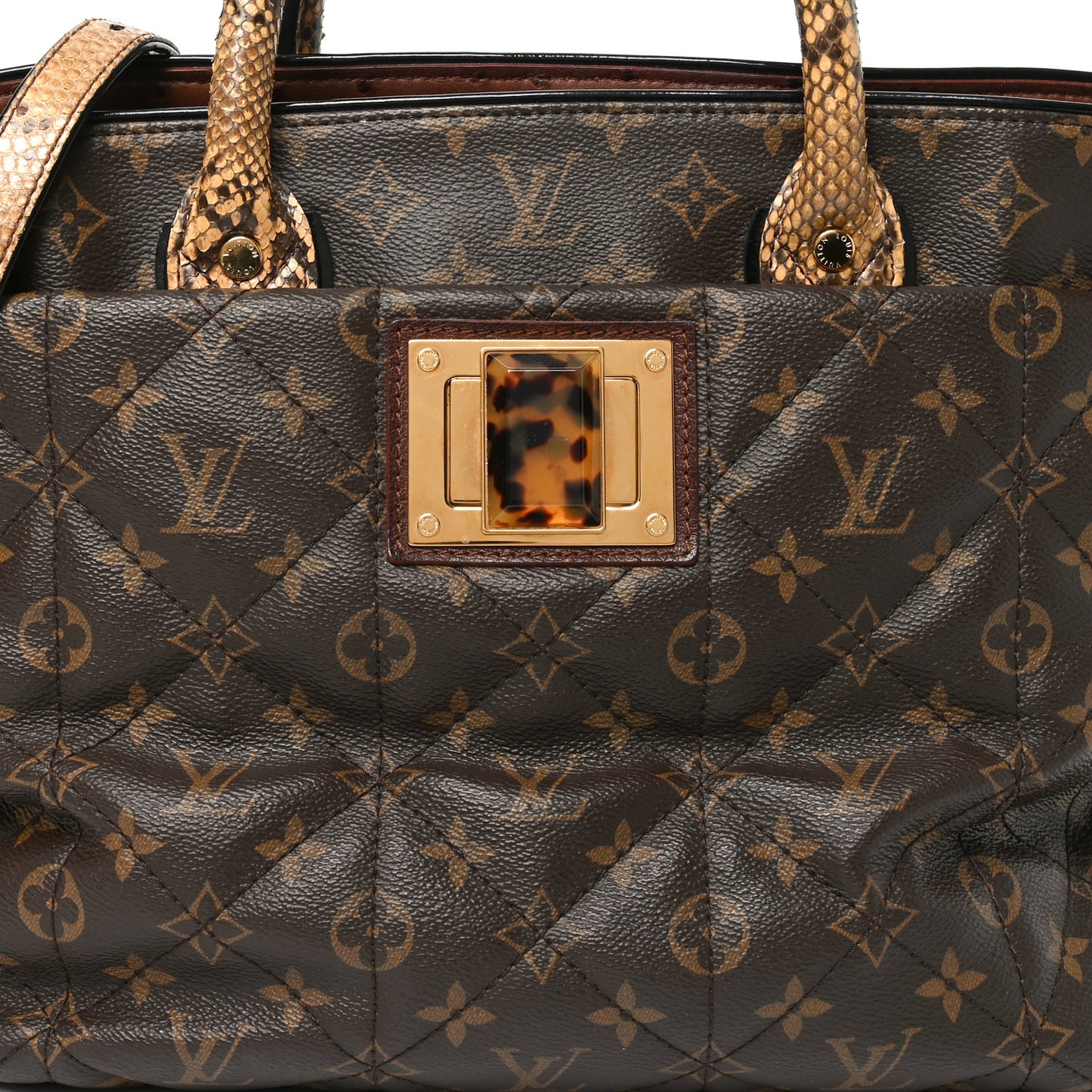 Monogram Etoile Exotique MM