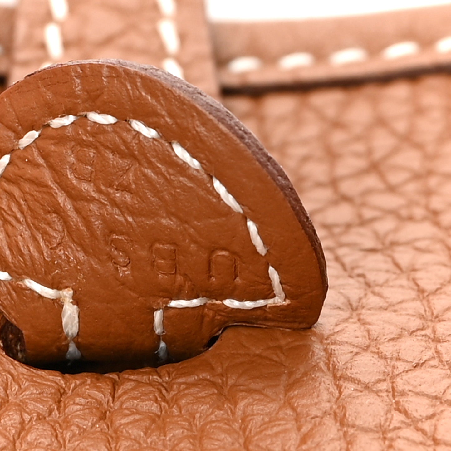 Taurillon Maurice Amazone Evelyne TPM Gold White