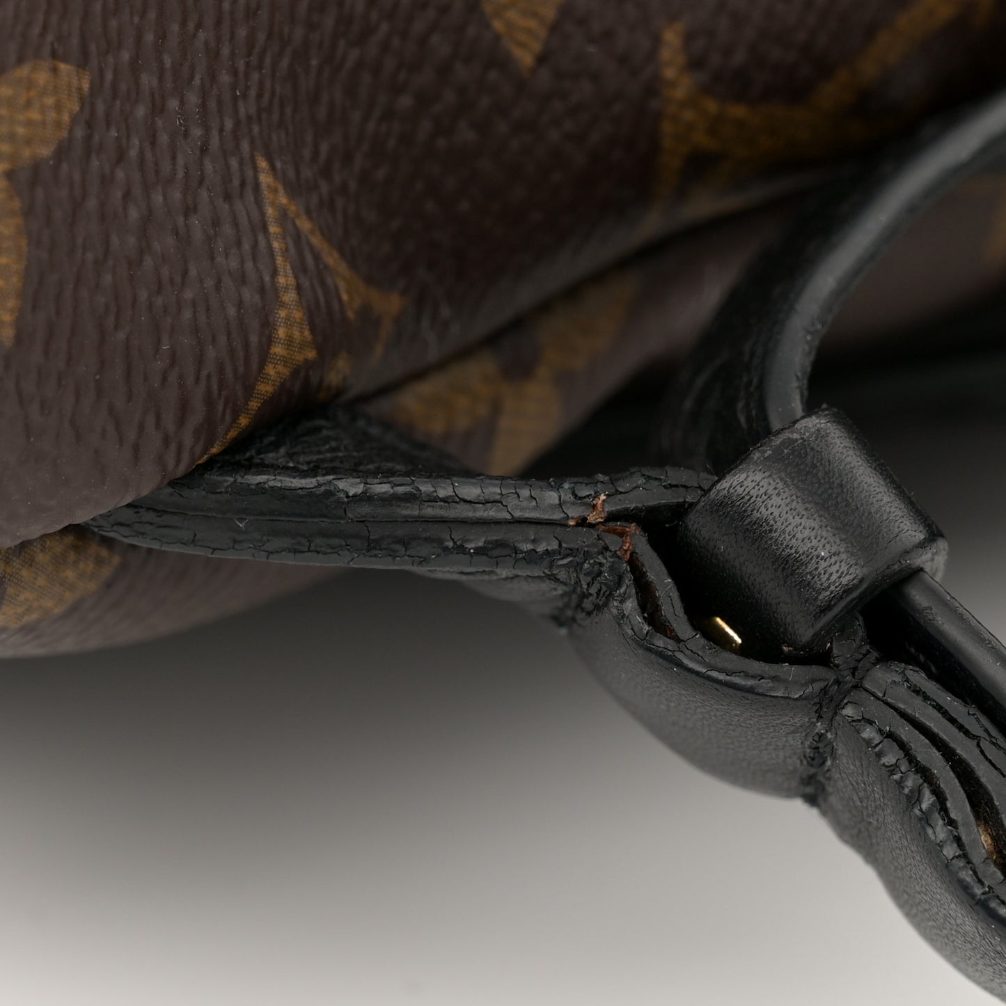 Monogram Palm Springs Backpack PM