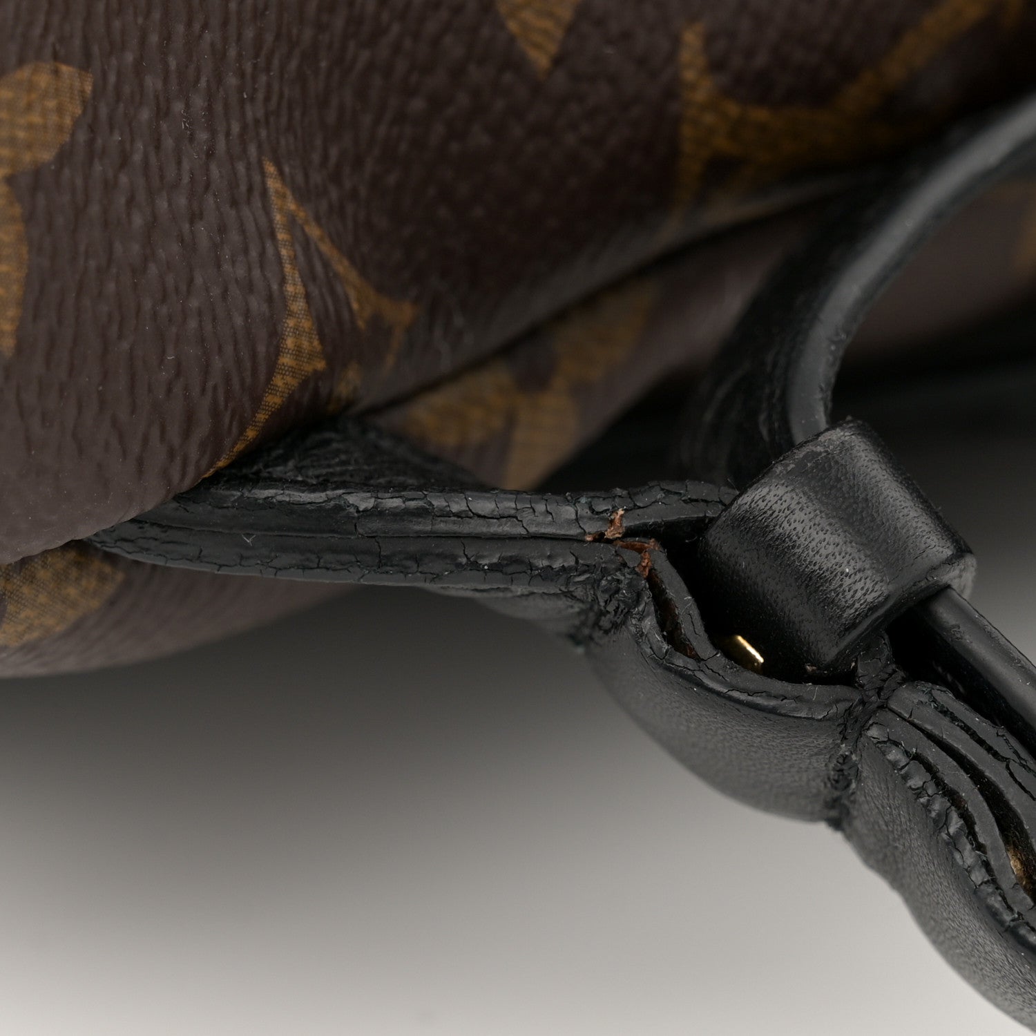 Louis Vuitton Monogram Palm Springs Backpack PM 14 of 15