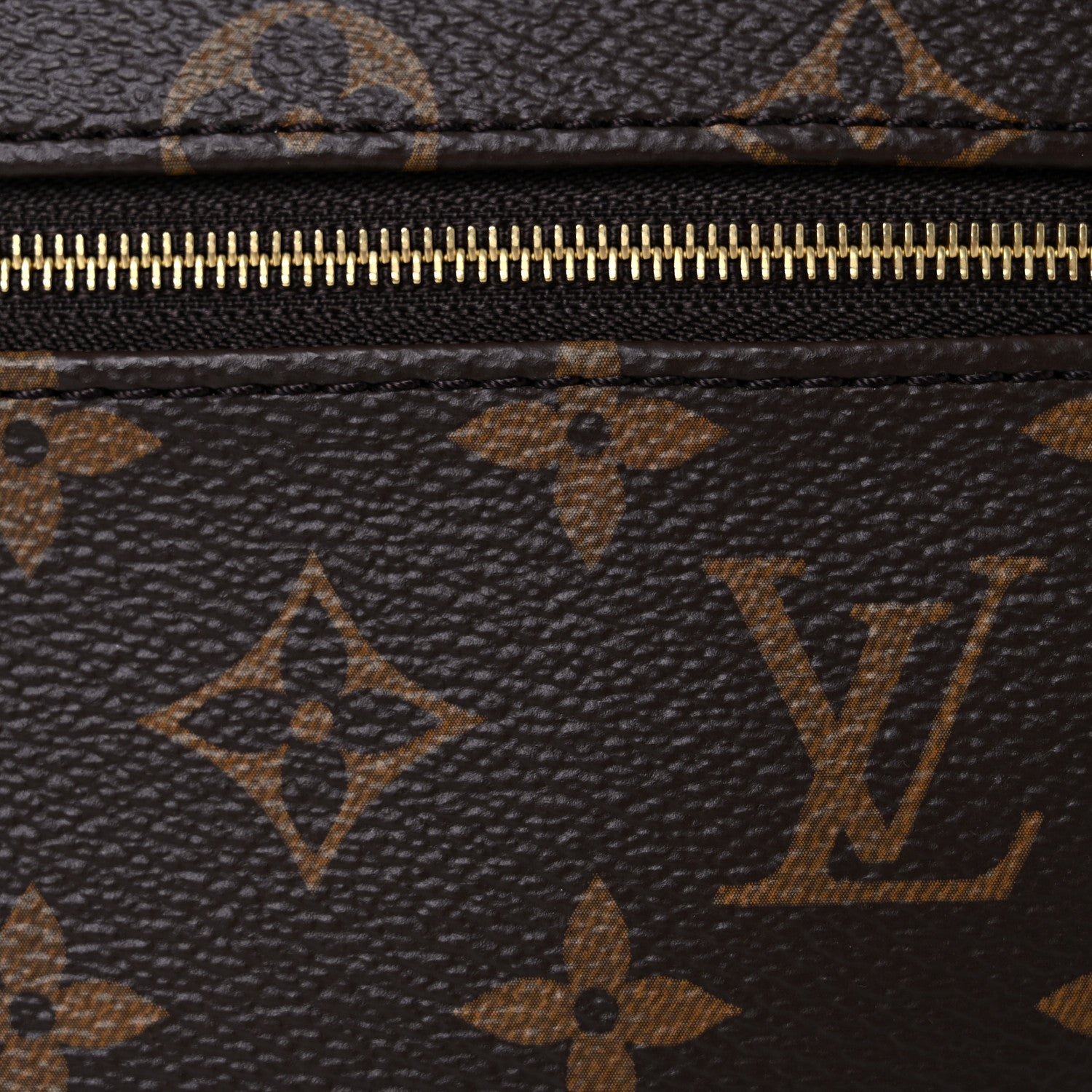 Louis Vuitton Monogram Loop 7 of 10