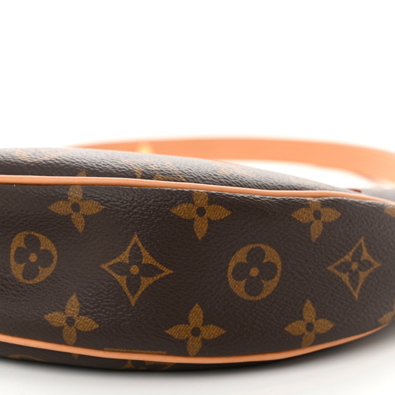Louis Vuitton Monogram Loop 9 of 9