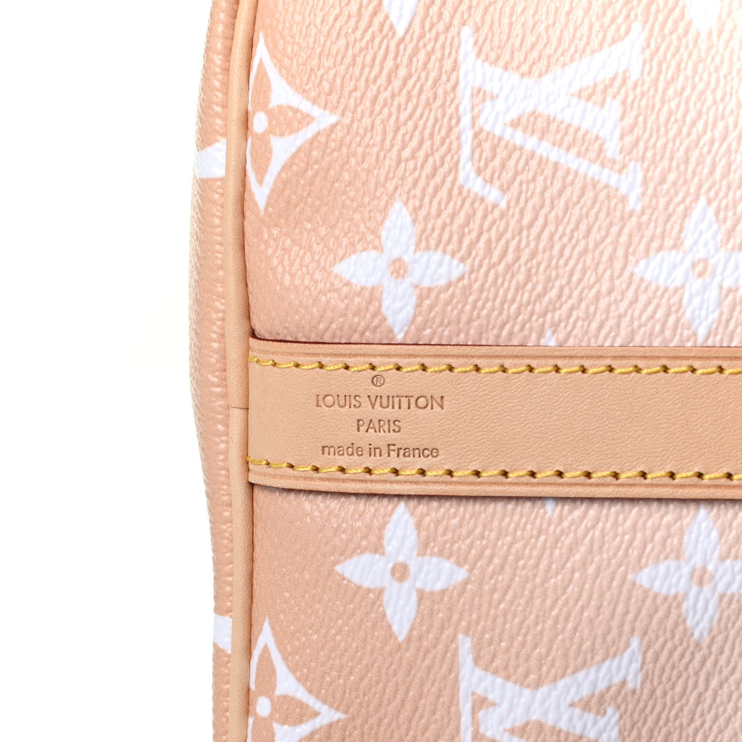 Louis Vuitton Monogram Giant By The Pool Speedy Bandouliere 25 Brume 10 of 10