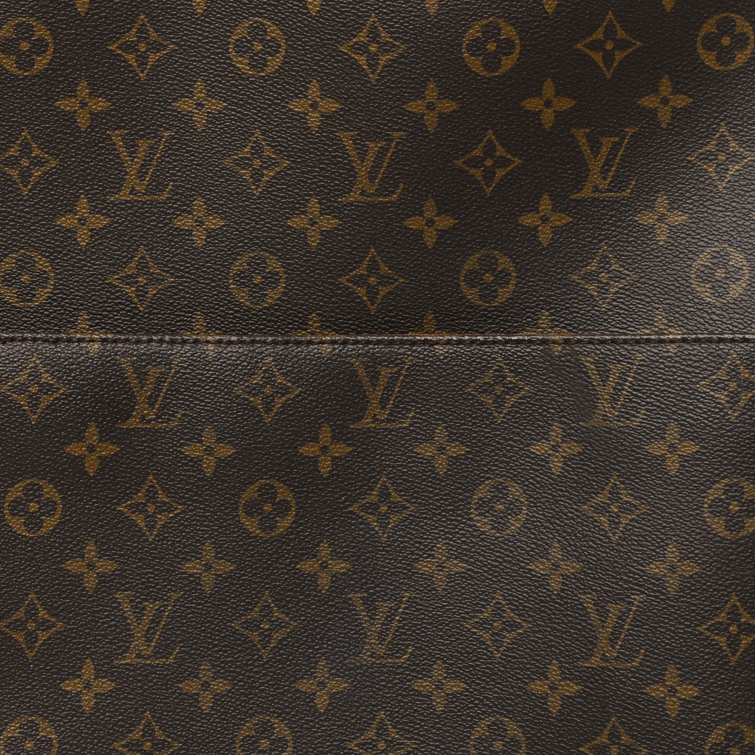 Louis Vuitton Monogram Pegase 60 6 of 13