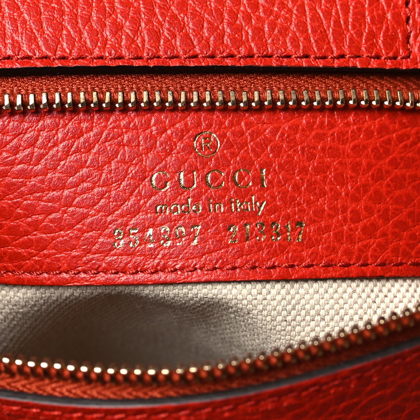 Dollar Calfskin Medium Swing Tote Red