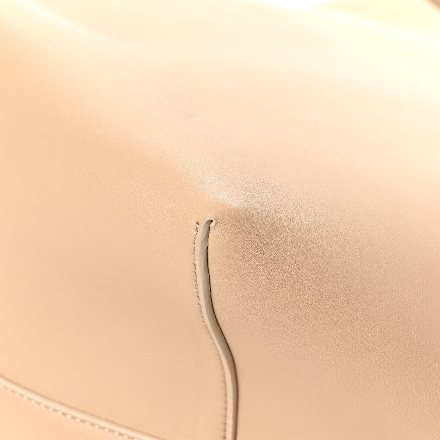 Grained Calfskin Large N/S Park Tote Dune