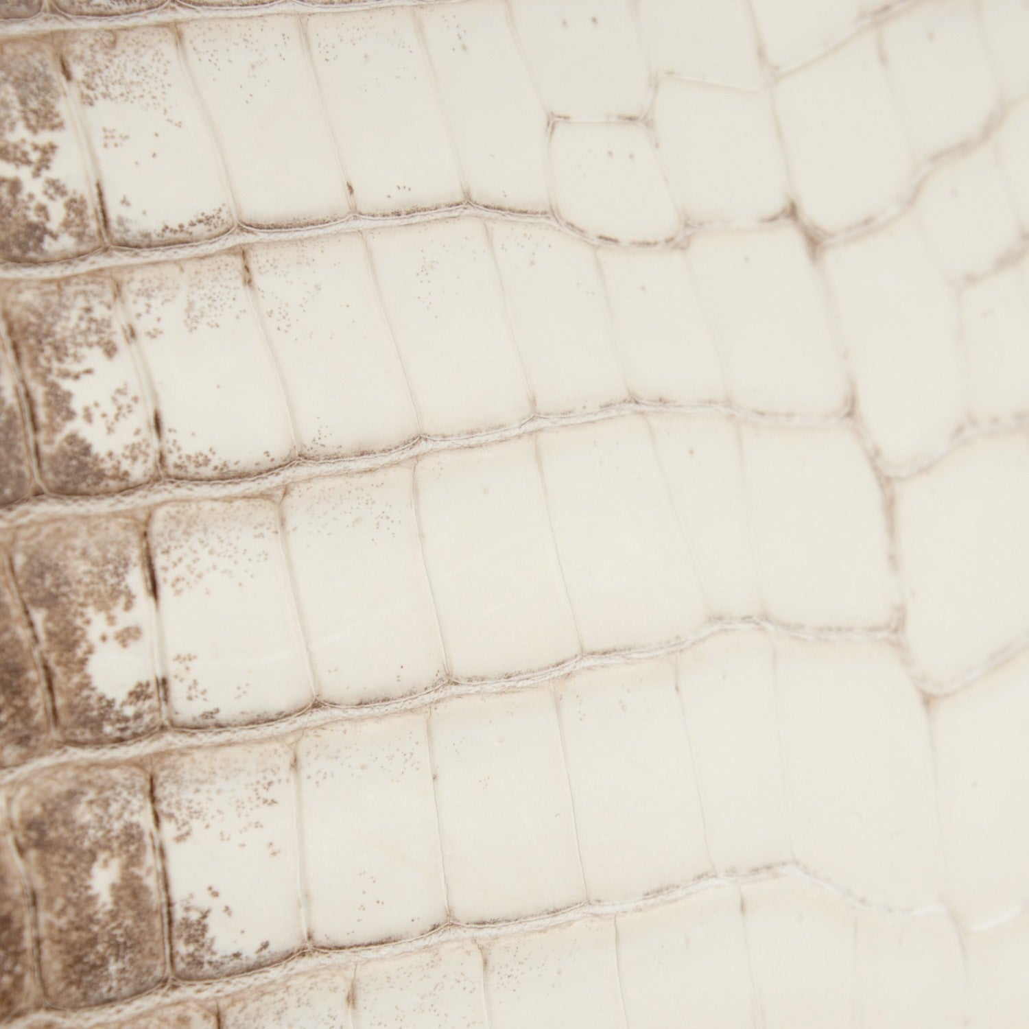 Hermes Matte Niloticus Crocodile Himalaya Kelly Retourne 25 White 19 of 32