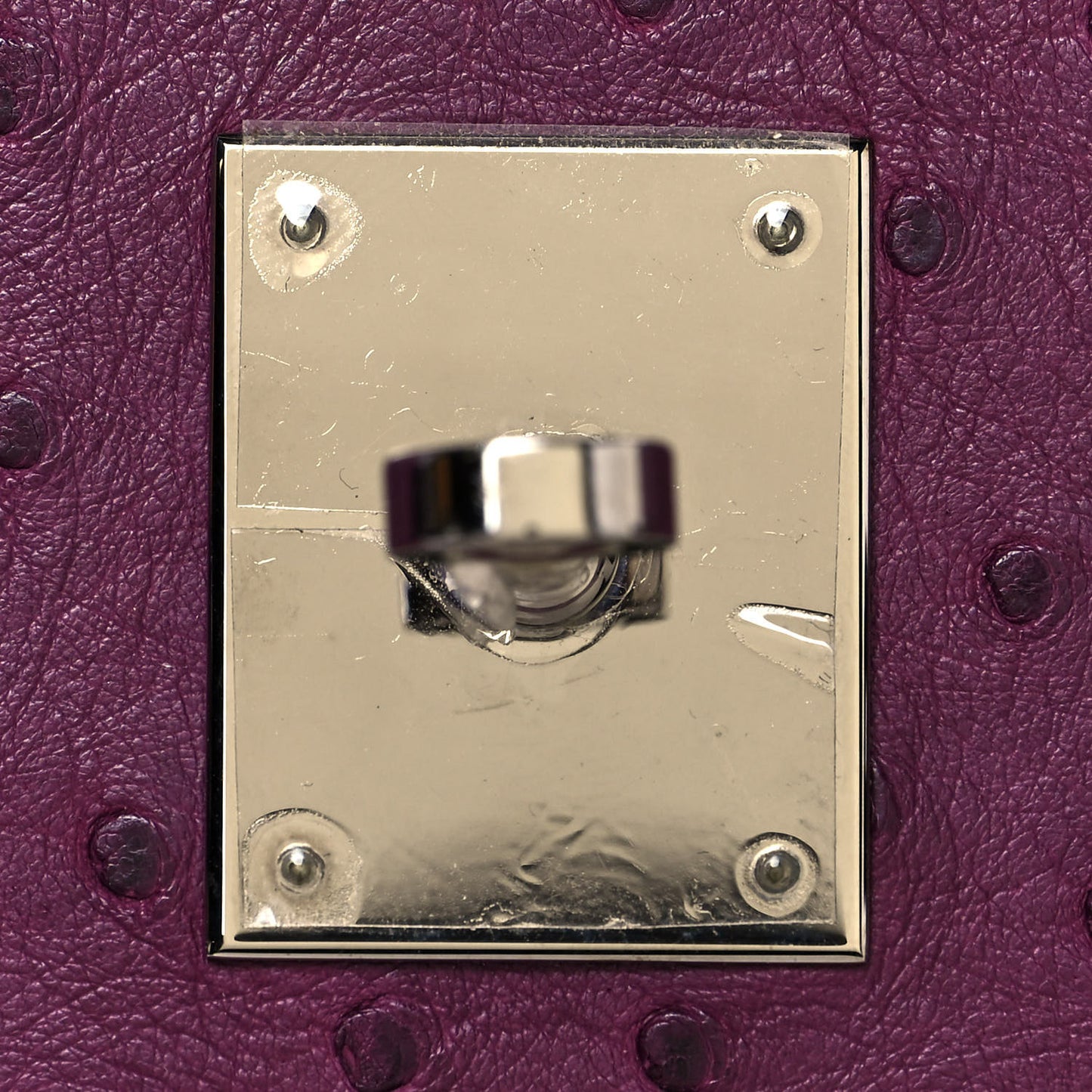 Ostrich Birkin 30 Violine