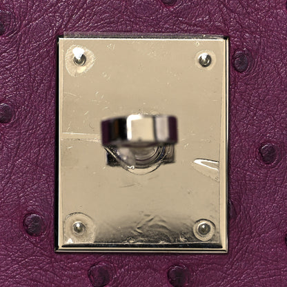 Hermes Ostrich Birkin 30 Violine 21 of 31