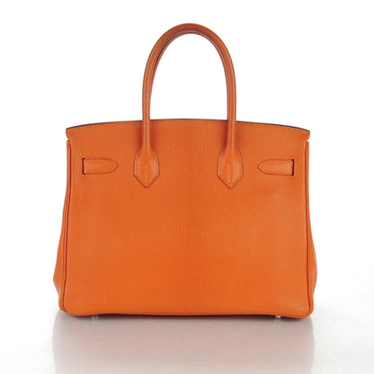 Hermes Chevre de Coromandel Birkin 30 Potiron 4 of 28