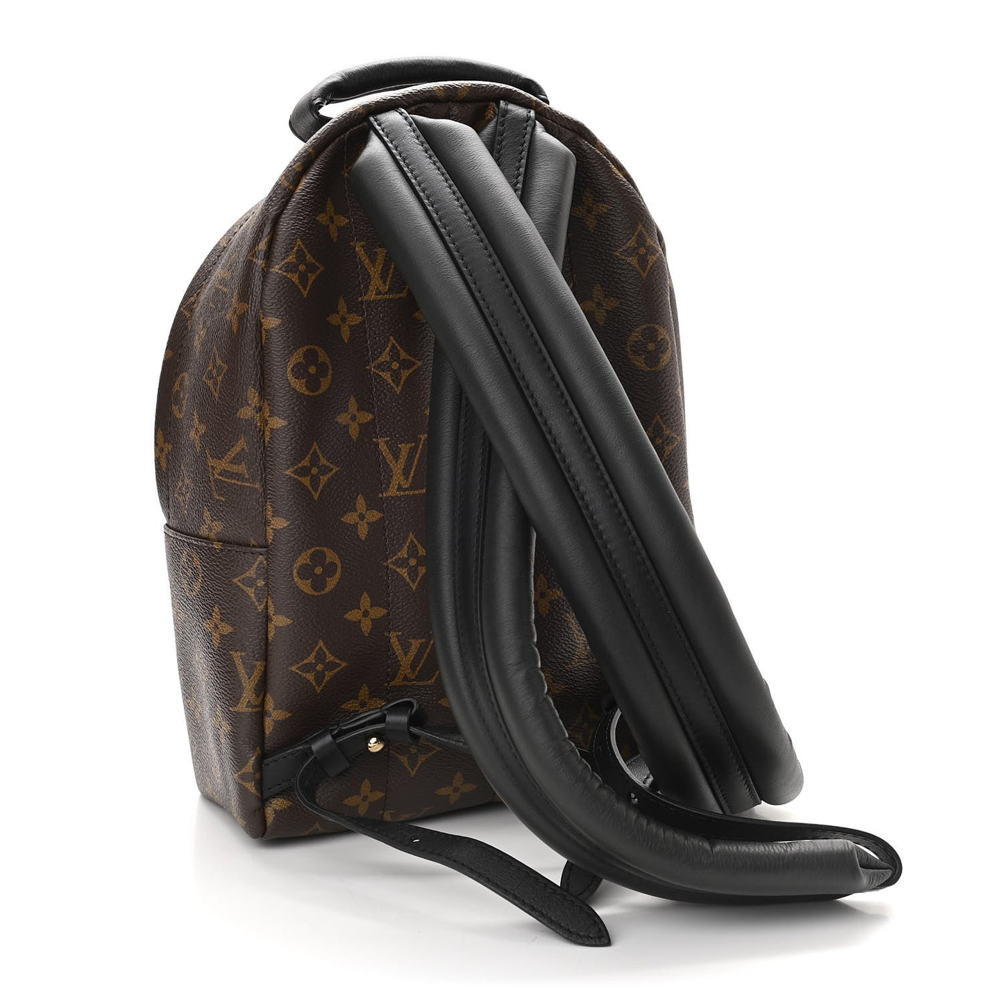 Monogram Palm Springs Backpack PM