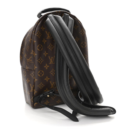 Louis Vuitton Monogram Palm Springs Backpack PM 3 of 10
