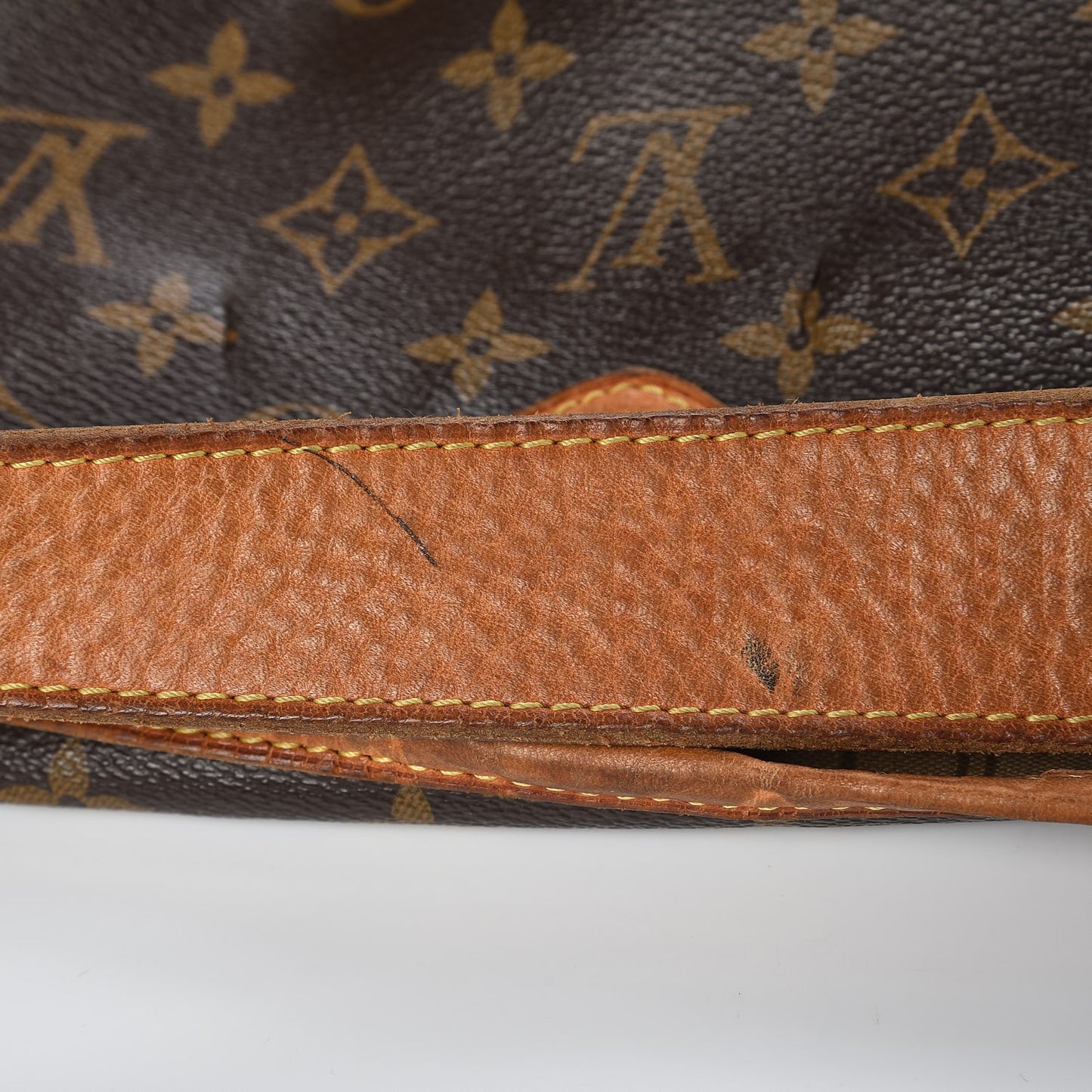 Monogram Delightful MM