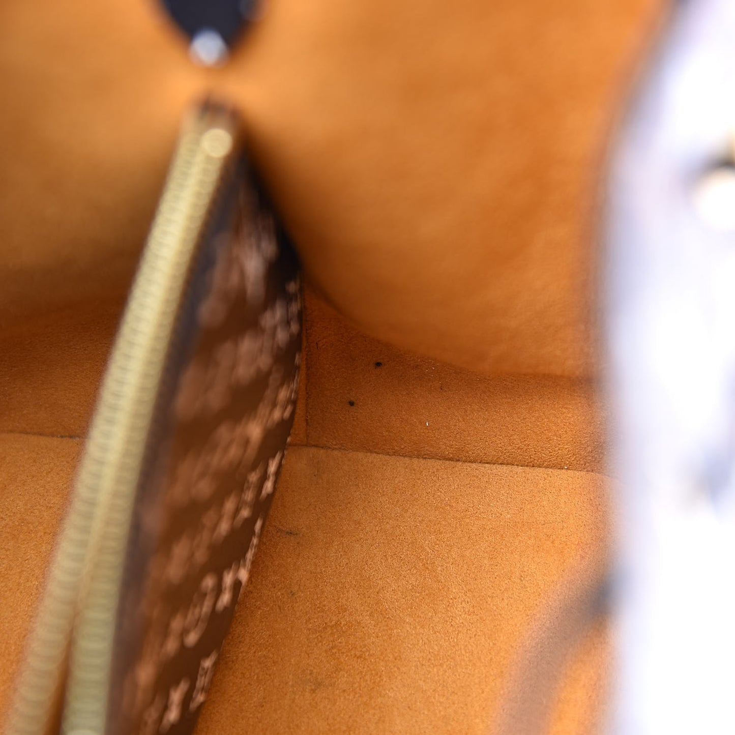 Monogram Giant Jungle NéoNoé Caramel