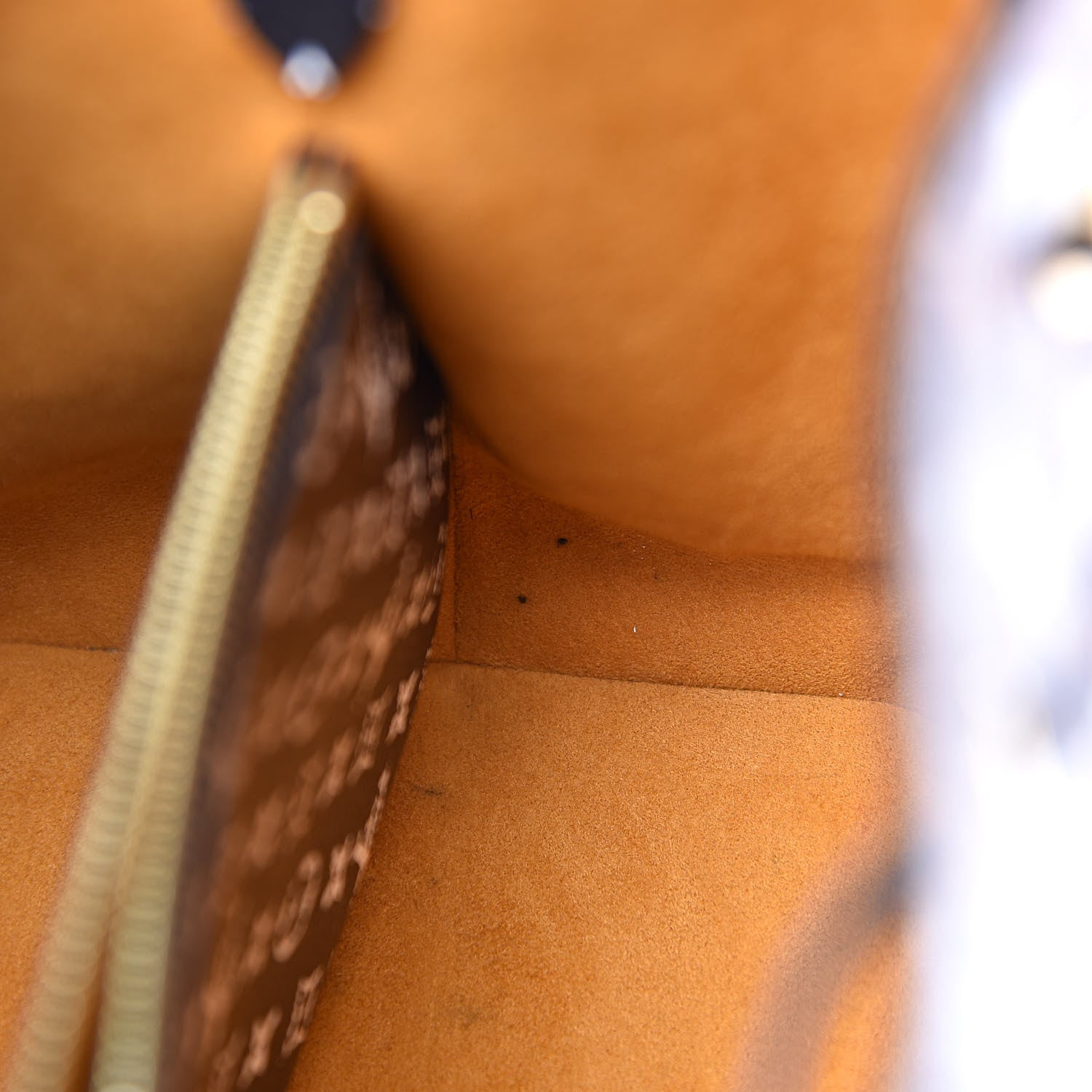 Louis Vuitton Monogram Giant Jungle NéoNoé Caramel 9 of 12