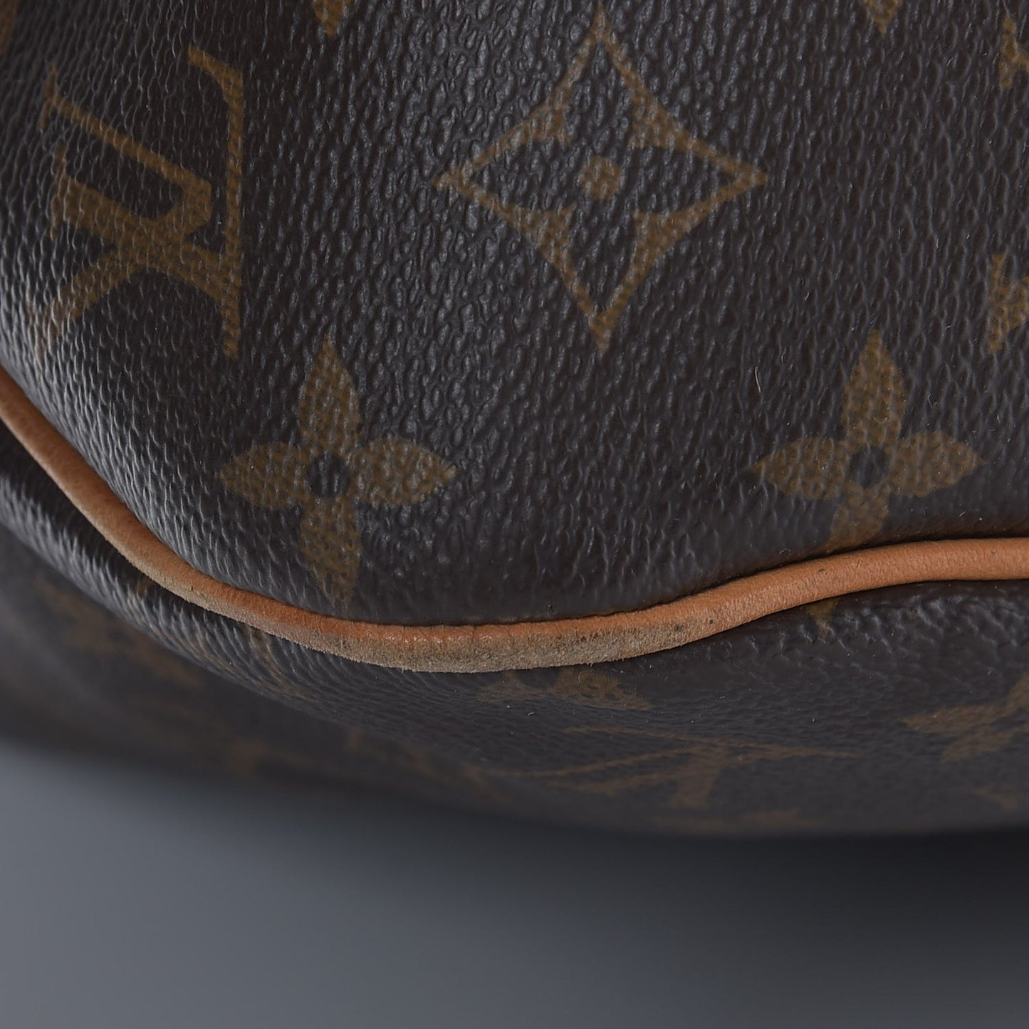 Monogram Delightful MM