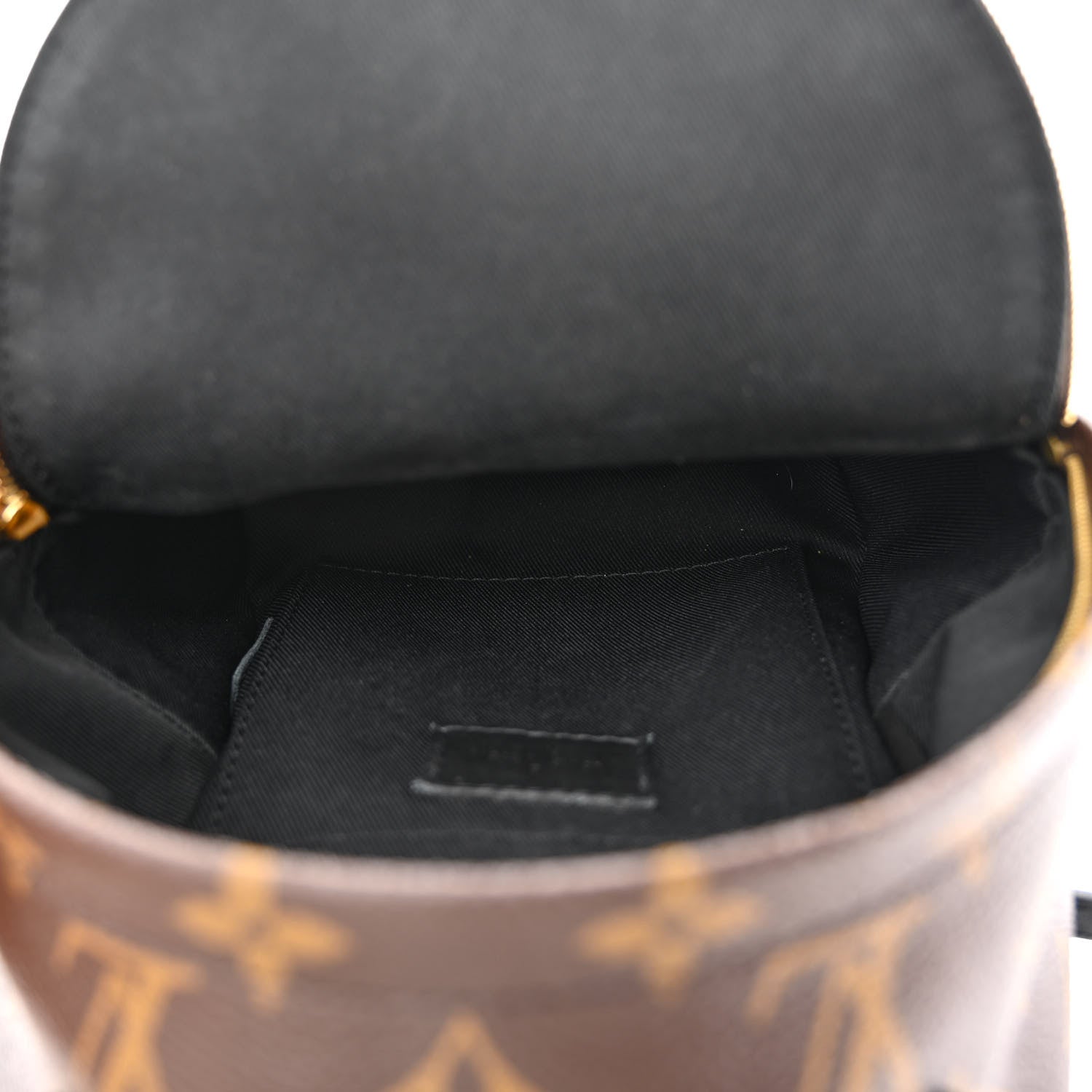 Louis Vuitton Monogram Palm Springs Backpack Mini 5 of 13