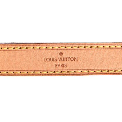 Louis Vuitton Monogram Rayures Petit Noe 28 of 28