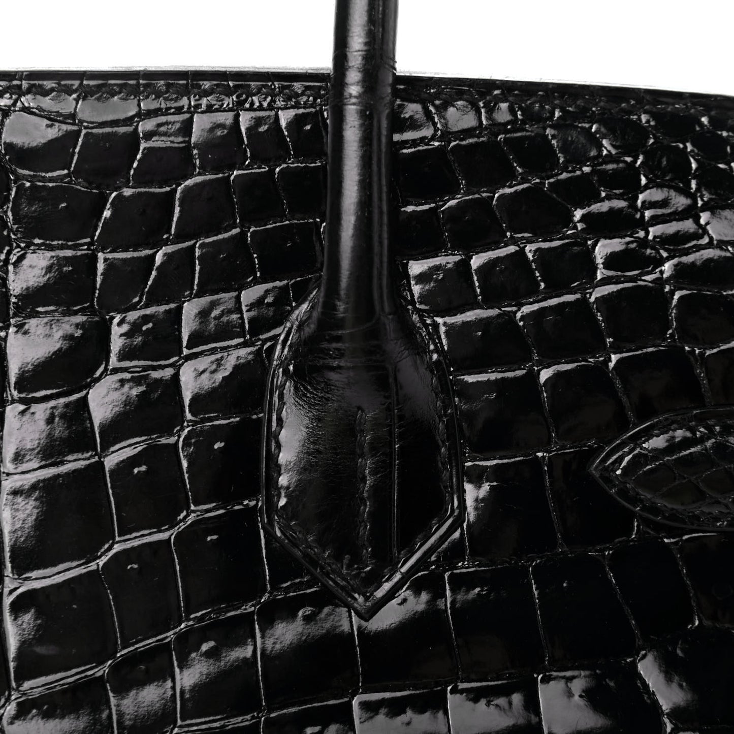 Shiny Niloticus Crocodile Birkin 30 Black