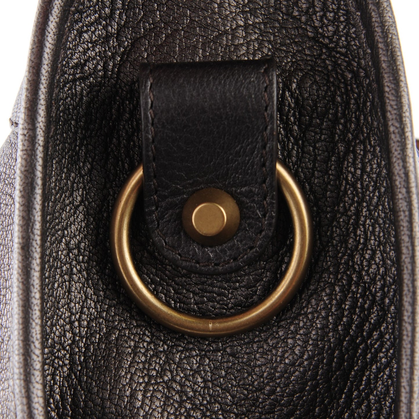 Pearlescent Goatskin Classic Gold Hardware City Bronze