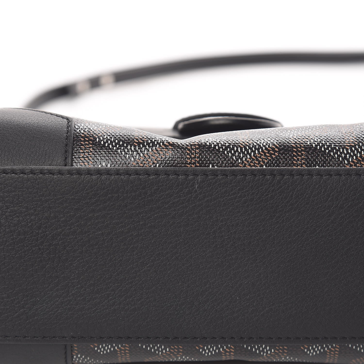 Goyard Goyardine Mini Saigon Black 9 of 12