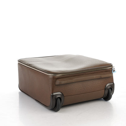 Louis Vuitton Taiga Pégase 45 Grizzli 4 of 8
