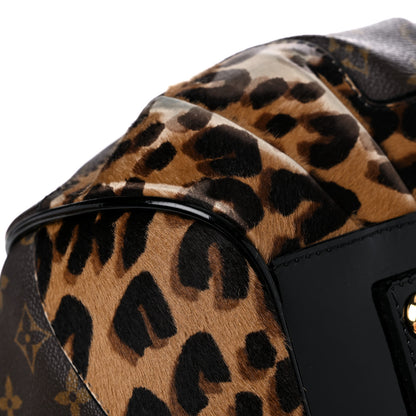 Louis Vuitton Monogram Leopard Stephen Bag 9 of 29