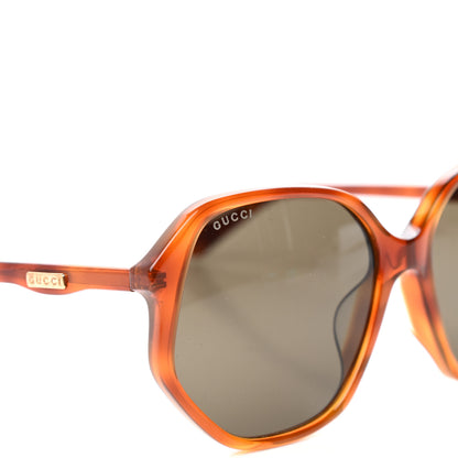 Gucci Acetate Round Sunglasses GG0258SA Tortoise 7 of 8