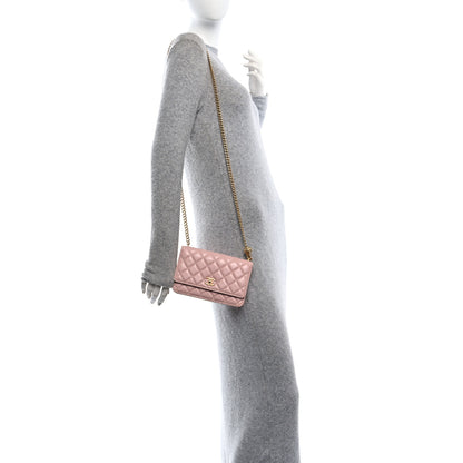 Chanel Lambskin Quilted Sweet Camellia Wallet on Chain WOC Light Beige 2 of 12