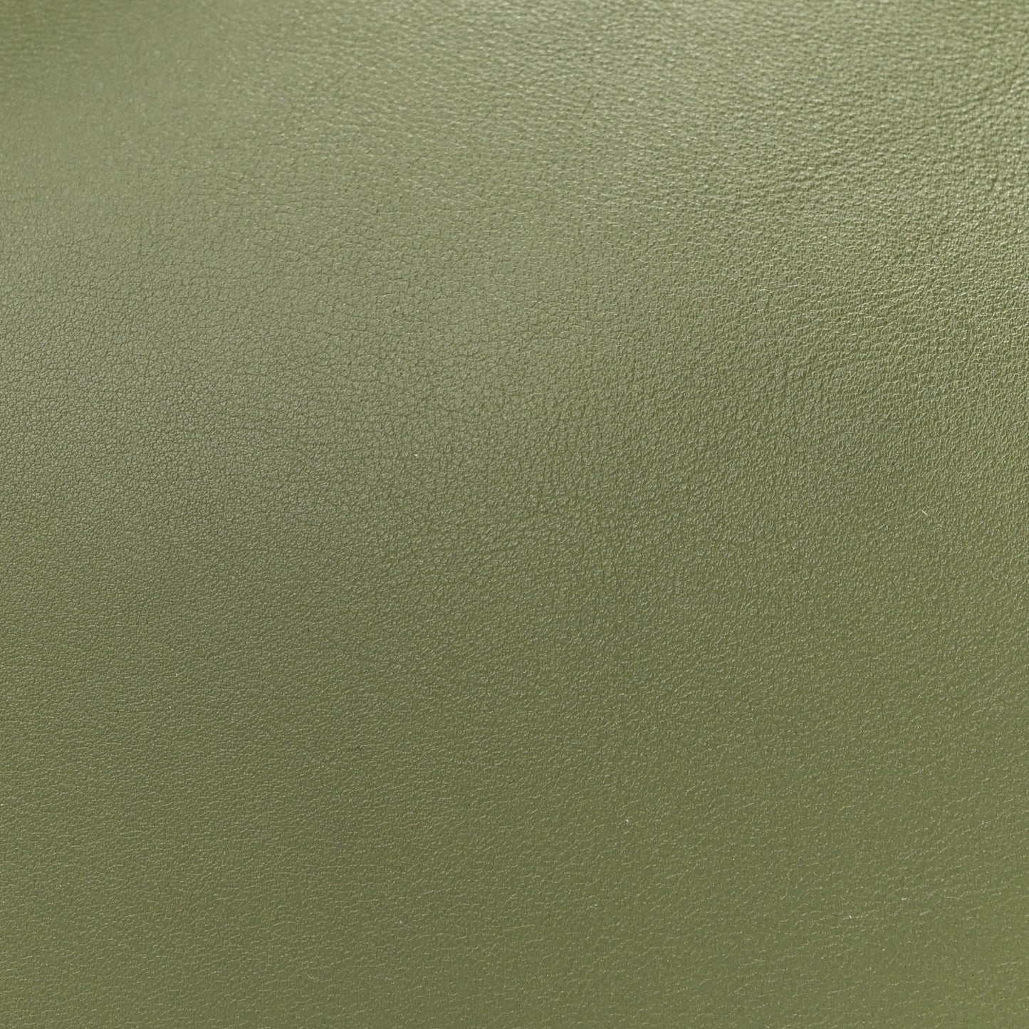 Smooth Calfskin Medium Big Bag Green