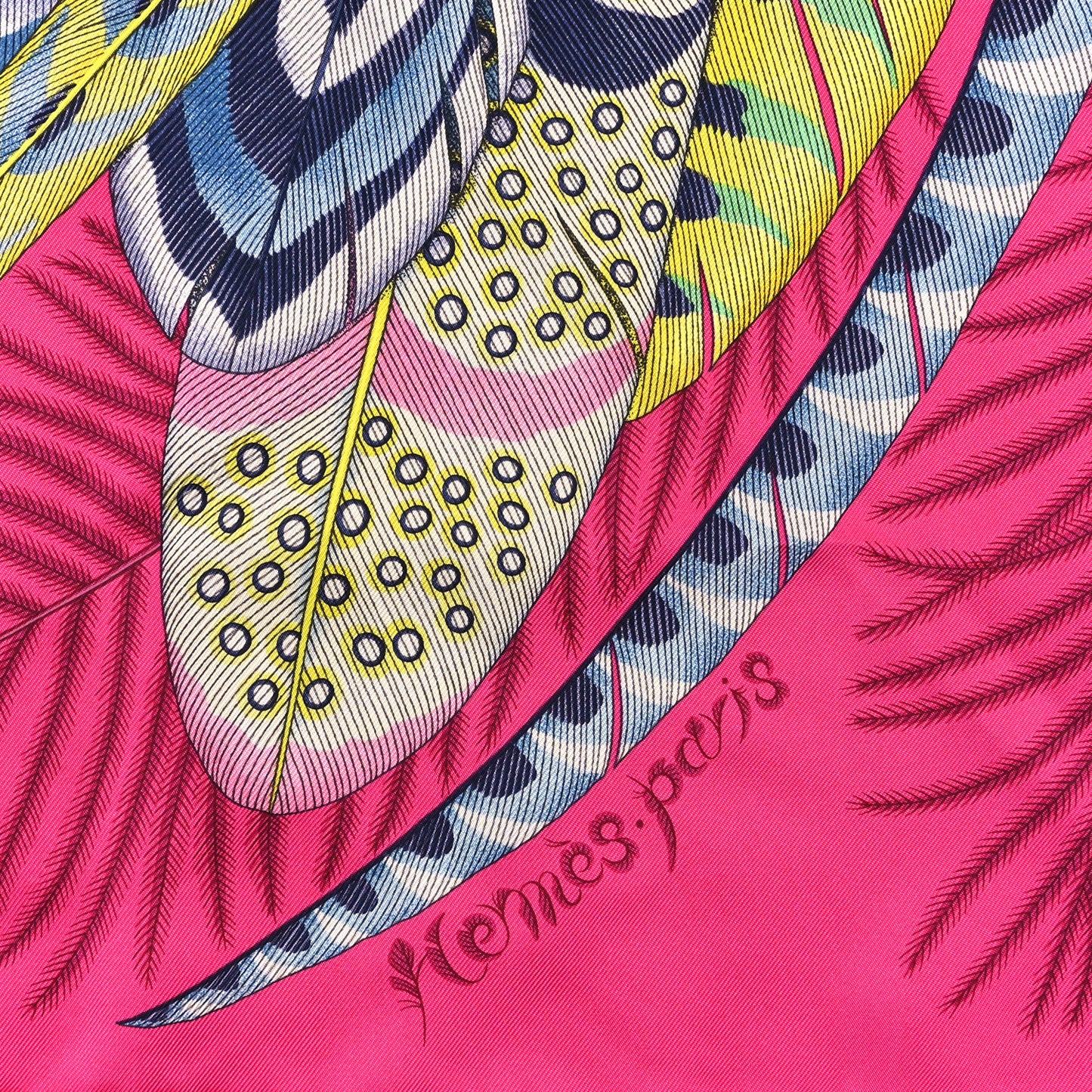 Silk Plumes En Fete Scarf 90 Rose Vif Bleu Vert