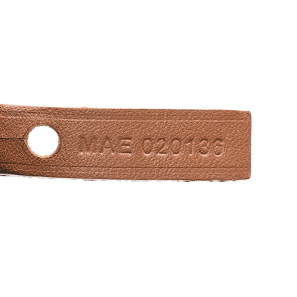 Goyard Goyardine Saint Louis PM Black Gold 9 of 13