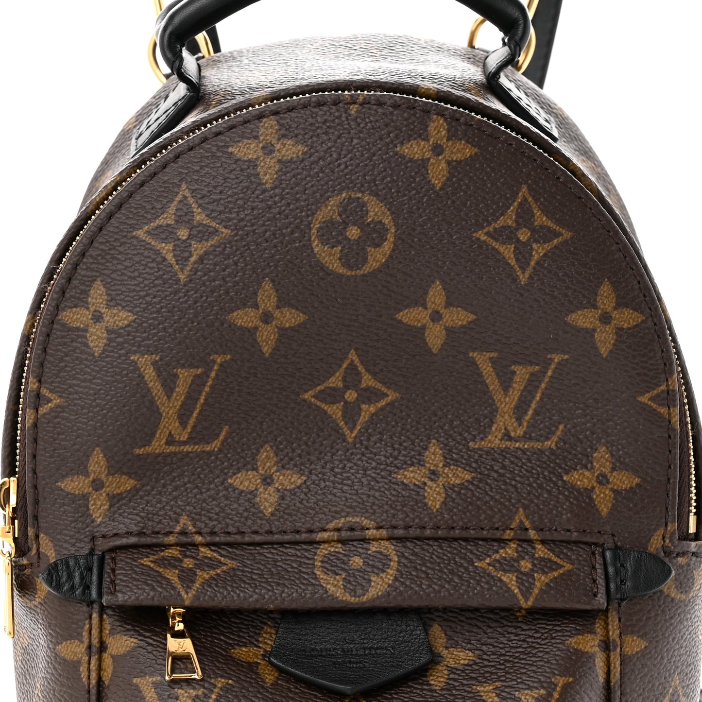 Monogram Palm Springs Backpack Mini